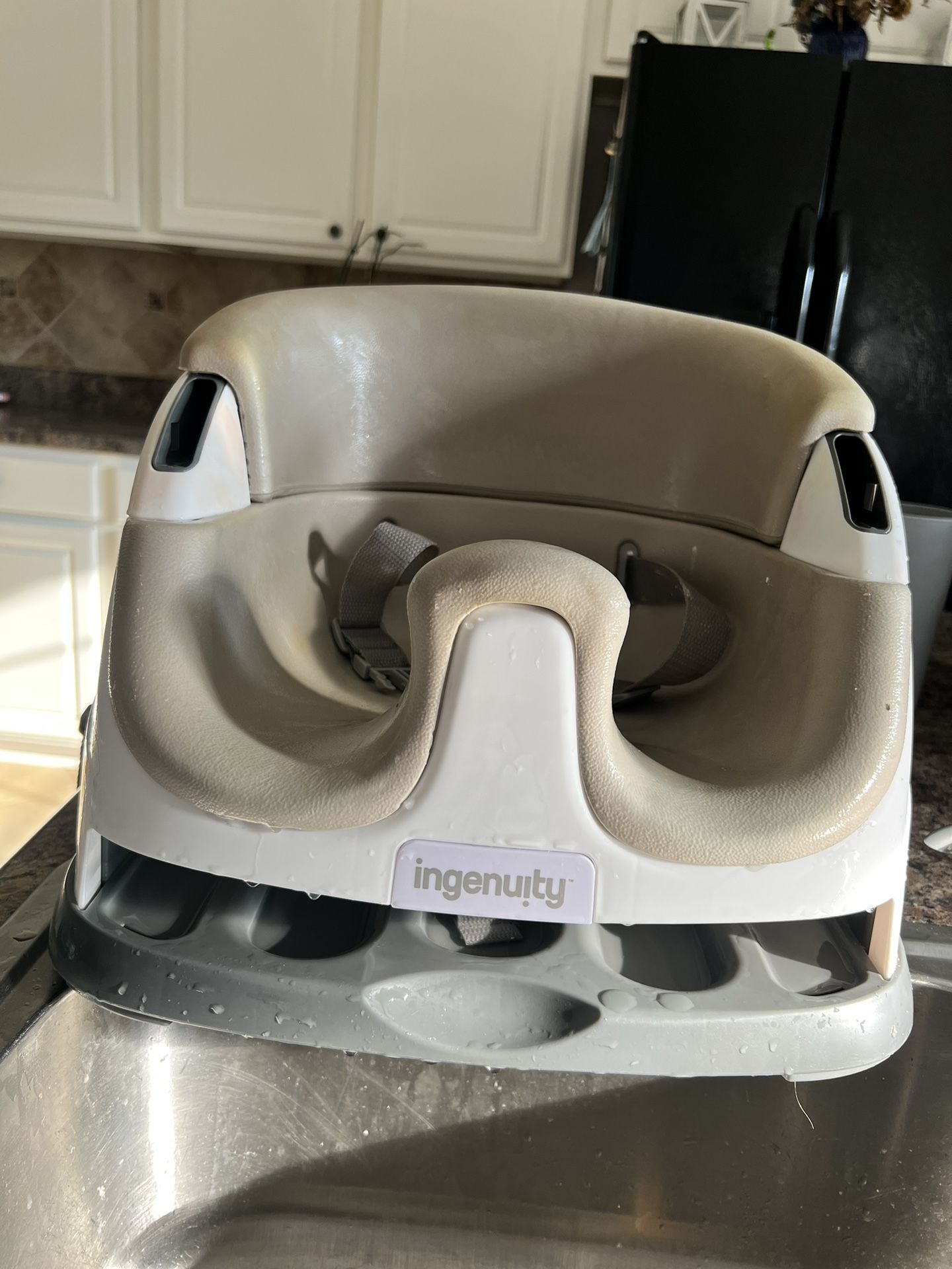Ingenuity Booster Seat