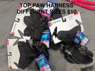 Dog Leashes, Collars & Harnesses