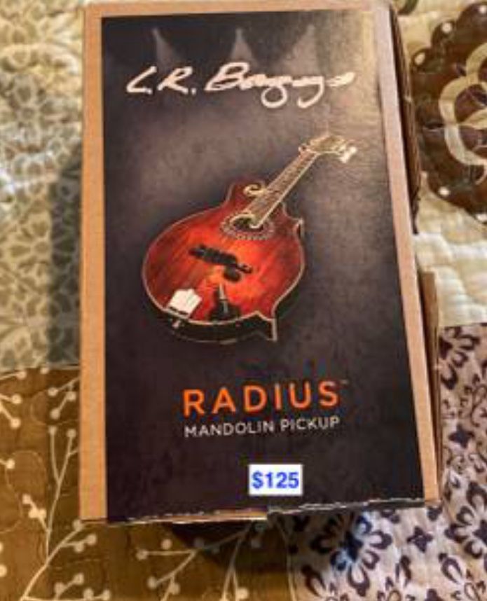Mandolin Delivery Fisherman and LR Baggs