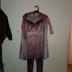 Audrey Descendents Costume