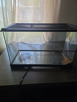 Reptile Enclosure