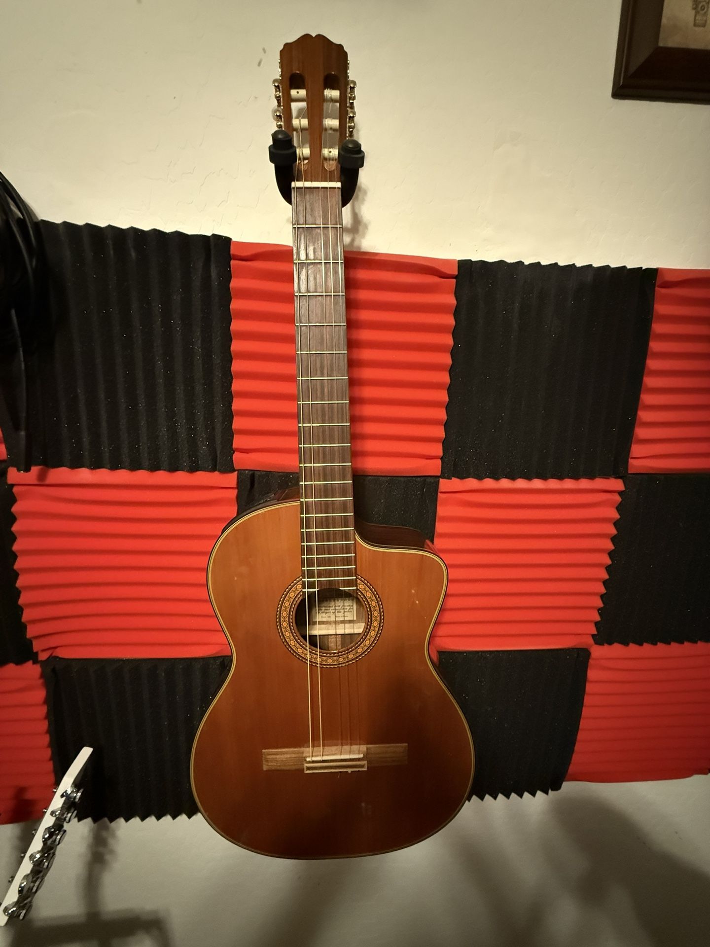 Takamine Classical Electric 
