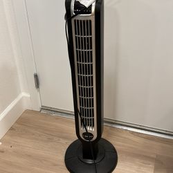Fan 