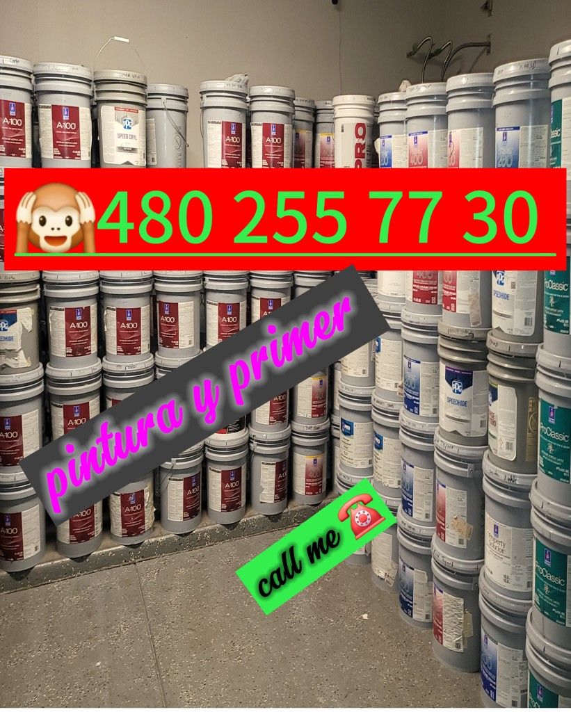 Pintura Y Primer