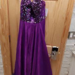 Disney Princess Prom/Formal/Party Dress