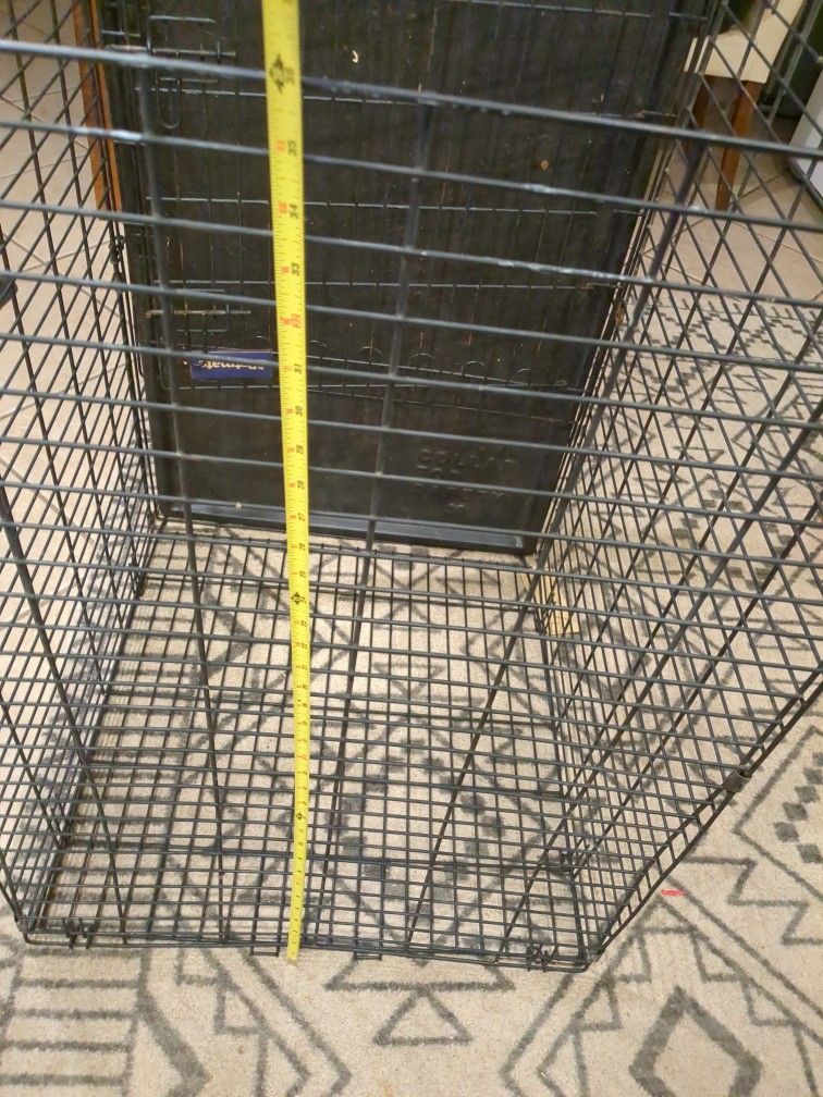 Dog Kennel