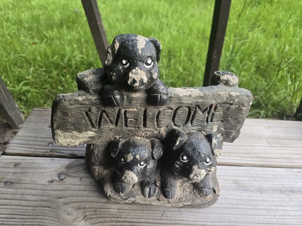 Pig