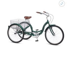 Adult Tricycle