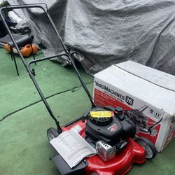 Yard Machines 20 in. 125 cc OHV Briggs and Stratton Gas Walk Behind Push Mower