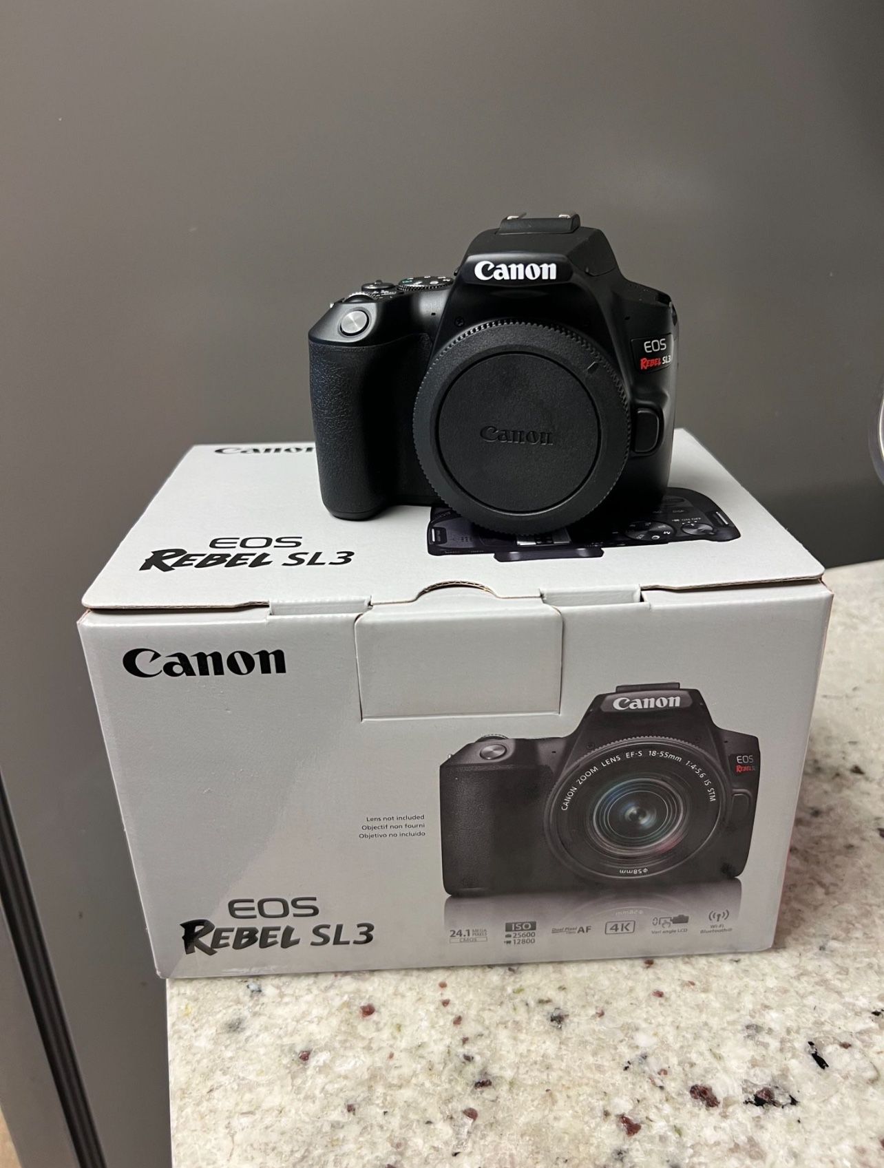 Canon SL3 (250D) Camera Body With Extra Charger