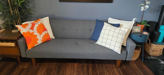 MCM Sleeper Sofa