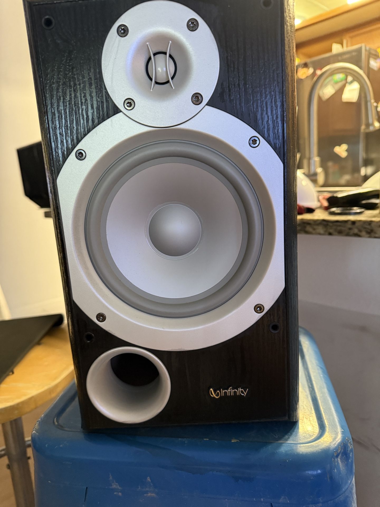 Infinity Speakers P163