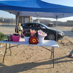Located In Winton Ca