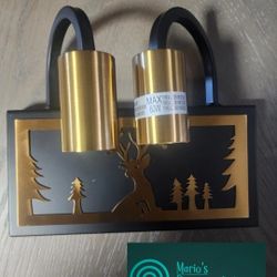 Darkaway Bathroom Wall Lights Fixture 2-Light Wall Lamp for Mirror Bathroom Vani