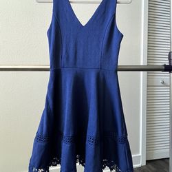 francesca's Blue Spring Dress 