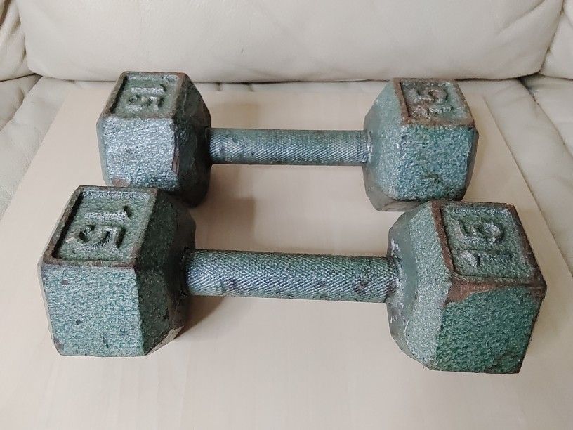 15 Pound Dumbells