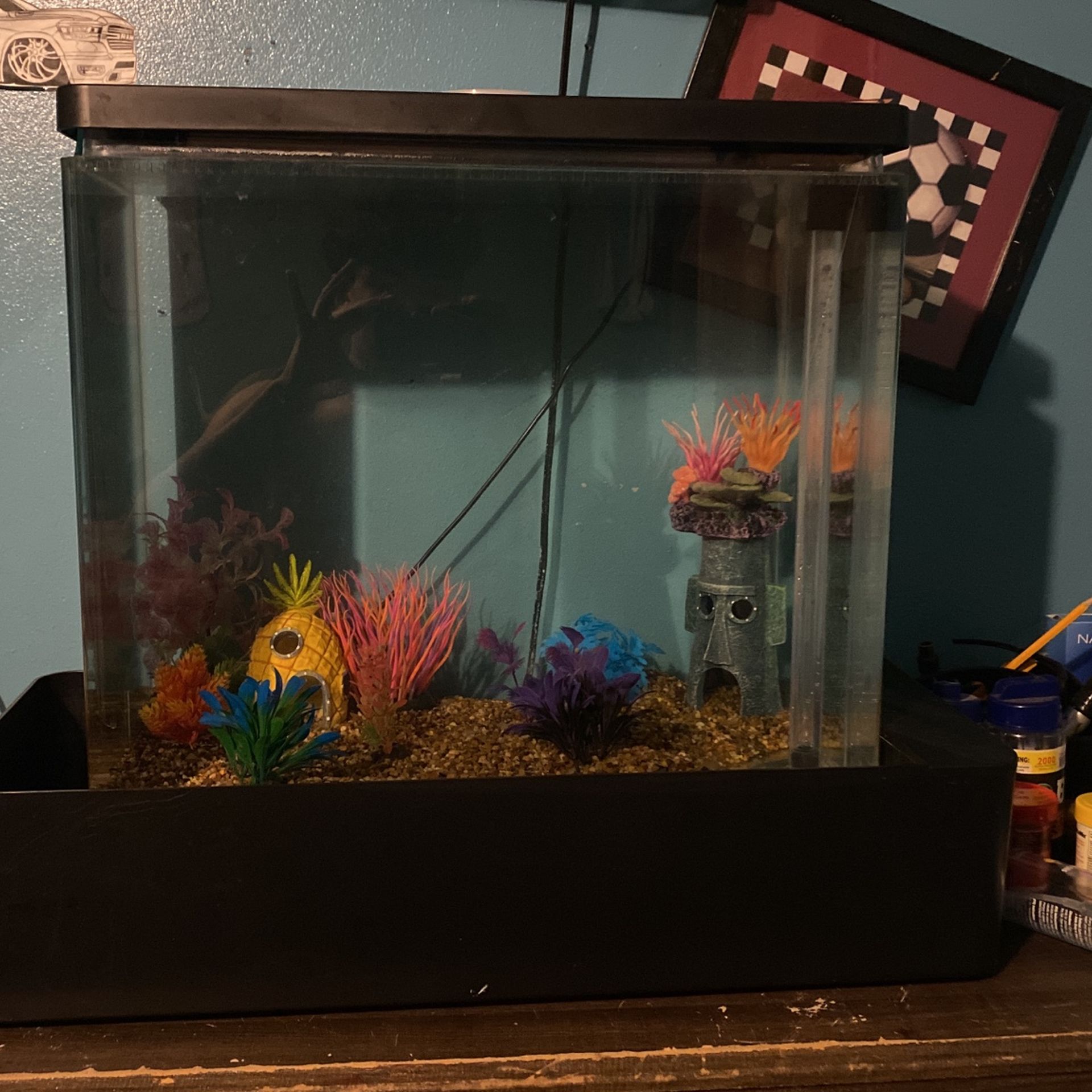 Fish tank