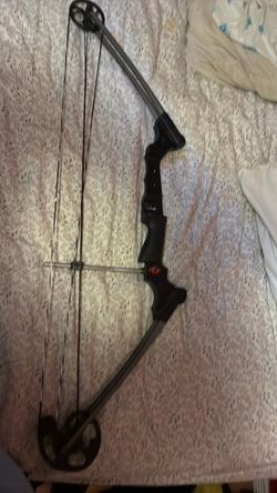 Black Compound Bow