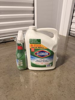 Clorox Multi Surface Cleaner + Bleach