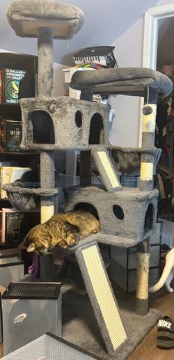Cat Tree