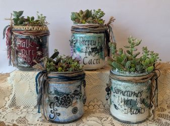 Enchanted Tiny, Handcrafted, Succulent Gardens each with it's own personality.