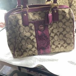 Purse and Wallets