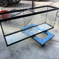 Fish Aquarium 