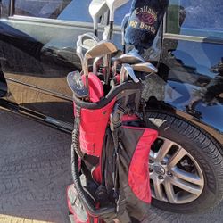 Golf bag With 14 clubs $60