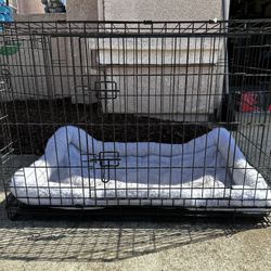 🐶 Frisco Fold & Carry Double Door Dog Crate + Cushion – Great Deal!  