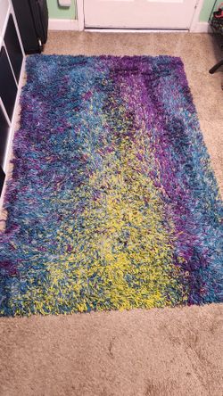 Peacock Colored Shag Rug