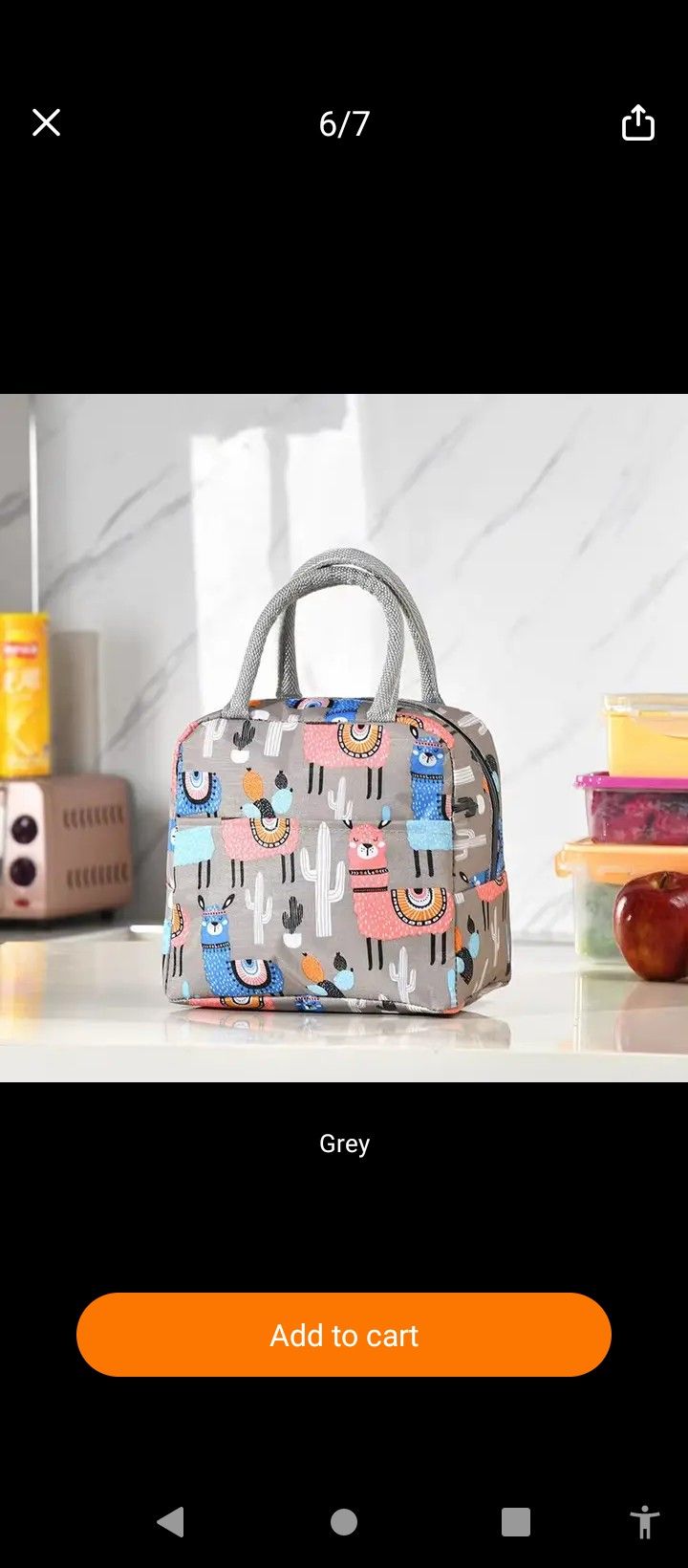 Kid's Lunch Bag