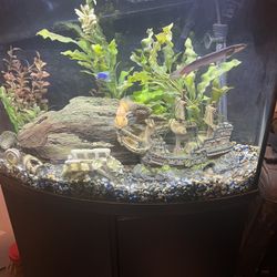 36 Gallons Fish Tank With Stand, Food, And Fish!