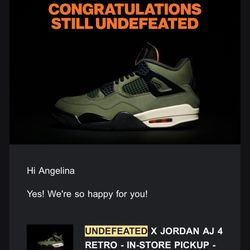 Undefeated Jordan 4s