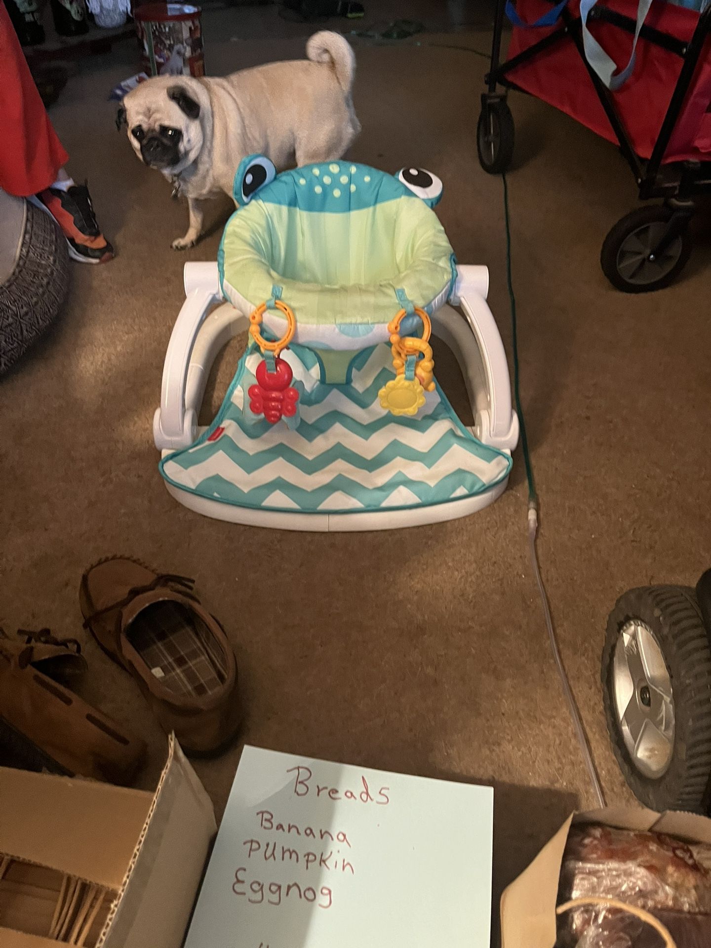 Baby Chair