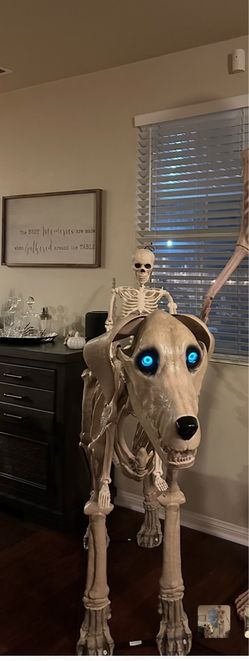 Home Depot Skelly Dog
