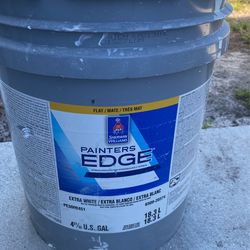 Sherlyn Williams interior flat white Paint.