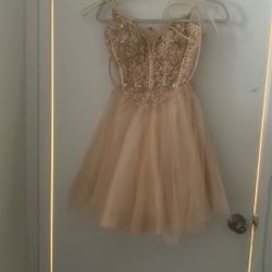 S Champagne Color Dress
