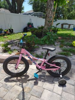 Trek pink bike