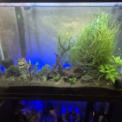 45 Gallon Fish Tank