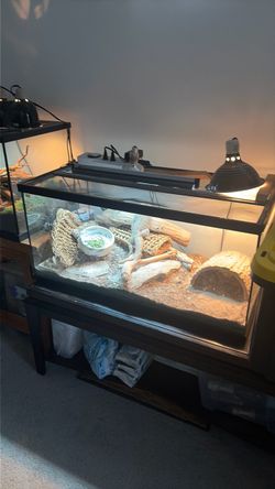 Reptile tanks