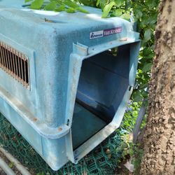 Medium Dog House 🏠