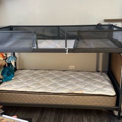 Metal Bunk Bed