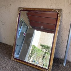 Brand New Designer Mirror 50 Inches Tall 35 Inches Long $40
