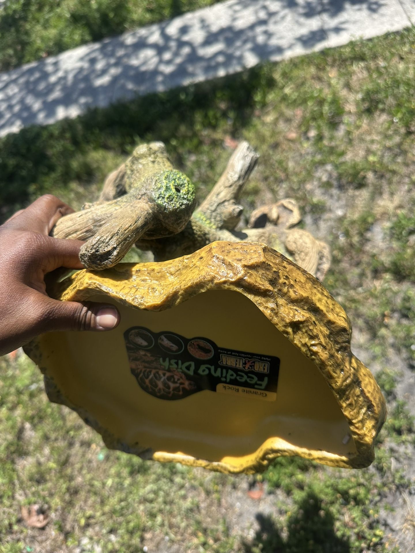 Reptile Feeding Dish & Log