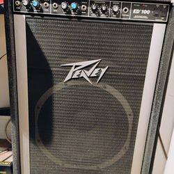 Peavey ED 100 Amp. 100 W Made In USA