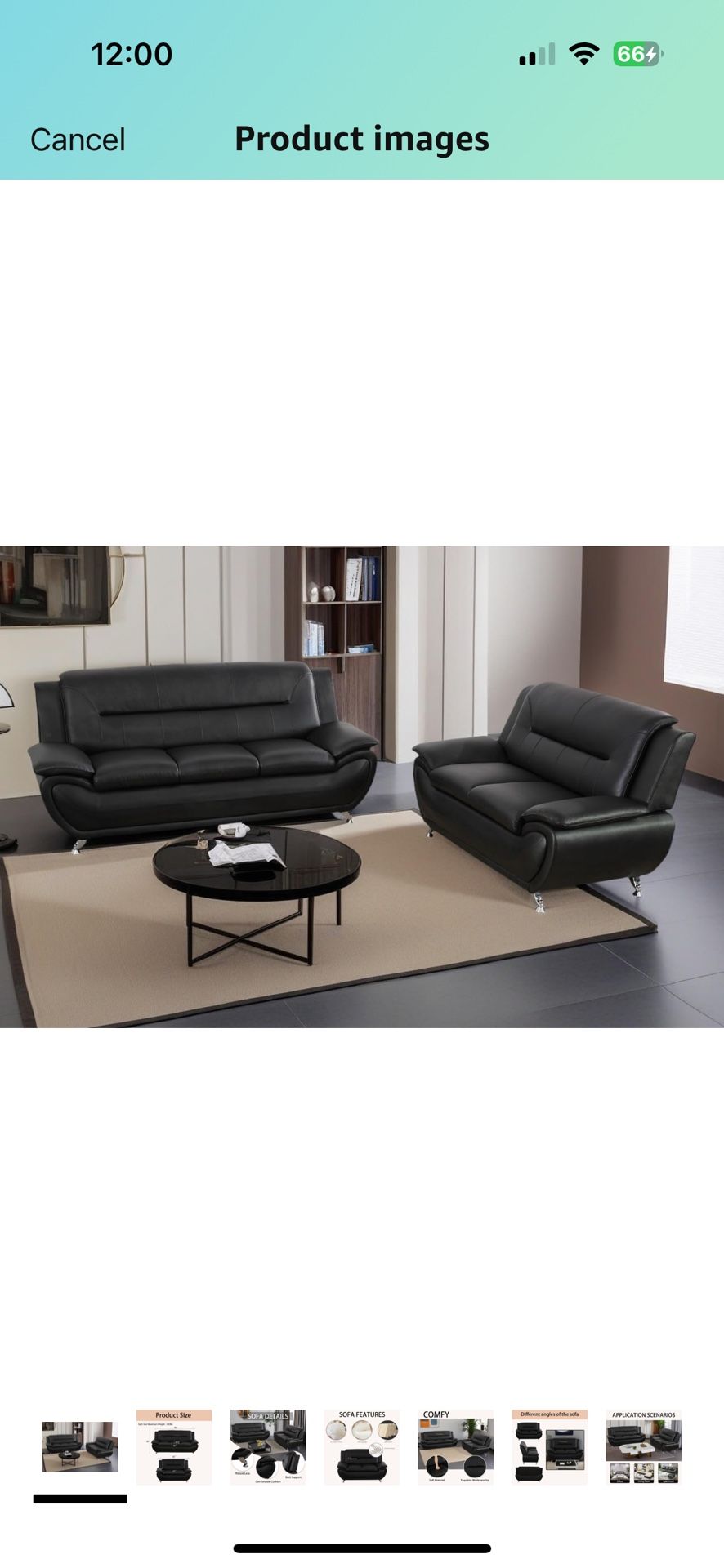 Black Leather Couches