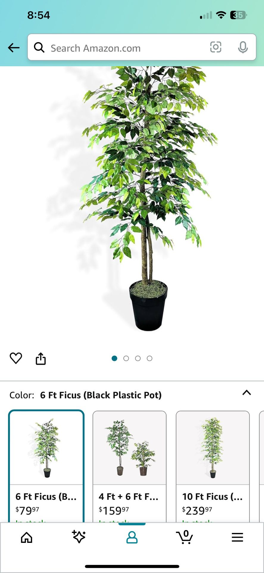 6FT Artificial Ficus Tree in Black Plastic Pot 