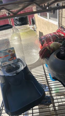 For dogs water and food