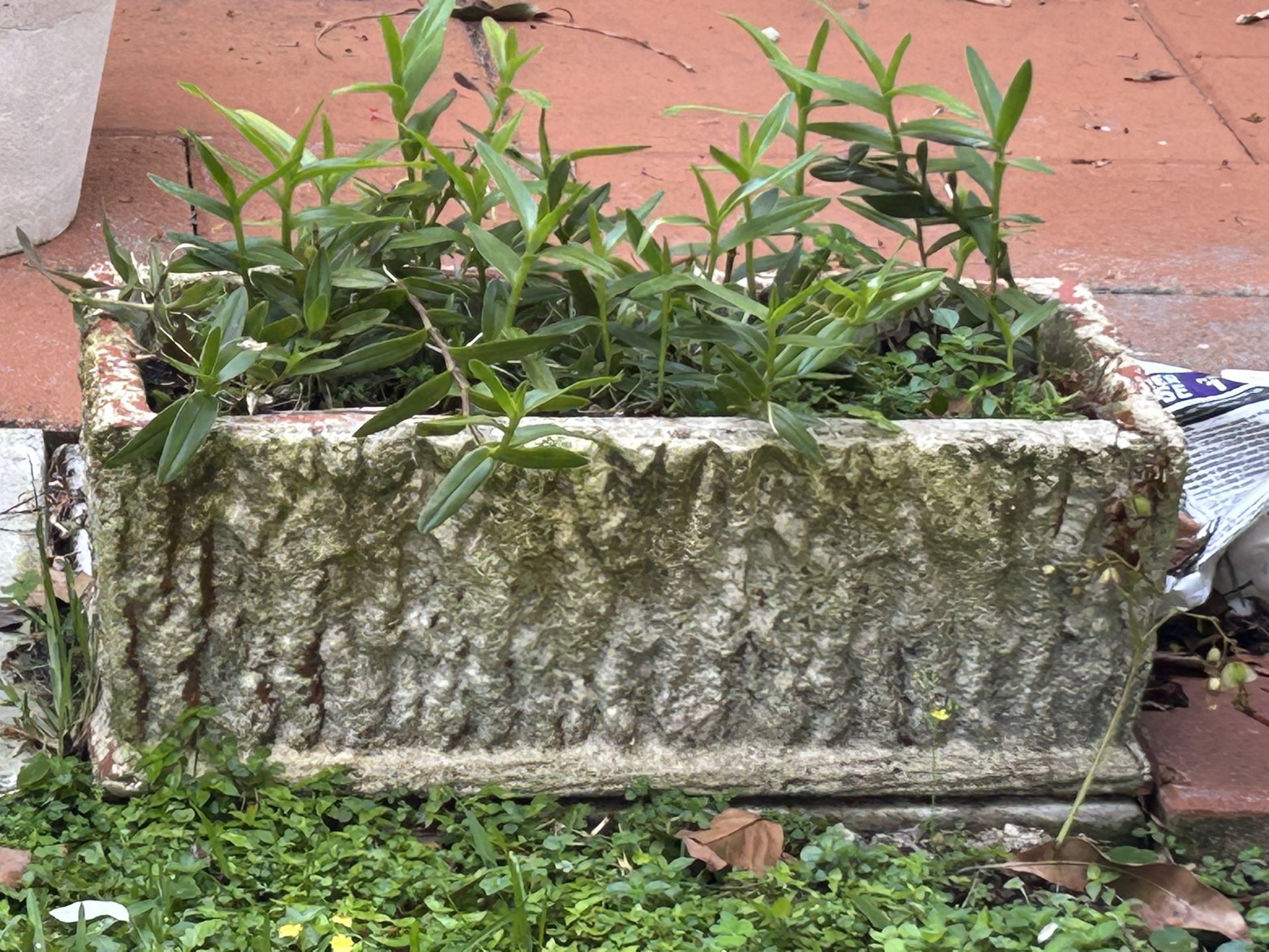 Set Of 6 Vintage Concrete Planters Concrete Pots 24”L X 12” W No Plants