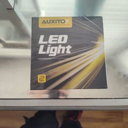 LED Light Bulbs H4